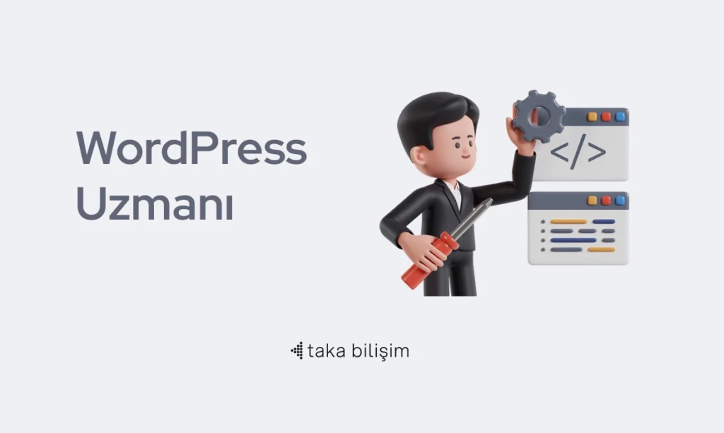 wordpress uzmanı
