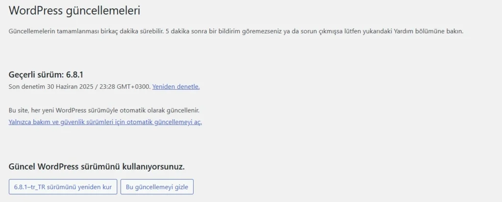 Web Sitesi Kurma Rehberi'nde detaylarını bulacağınız üzere sitenizi sürekli takip edin ve gerektiğinde güncelleme yapın. 