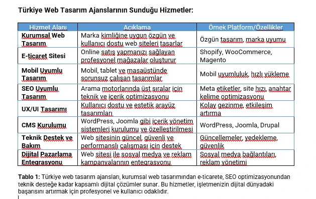 Türkiye Web Tasarım Ajanslarının Sunduğu Hizmetler: